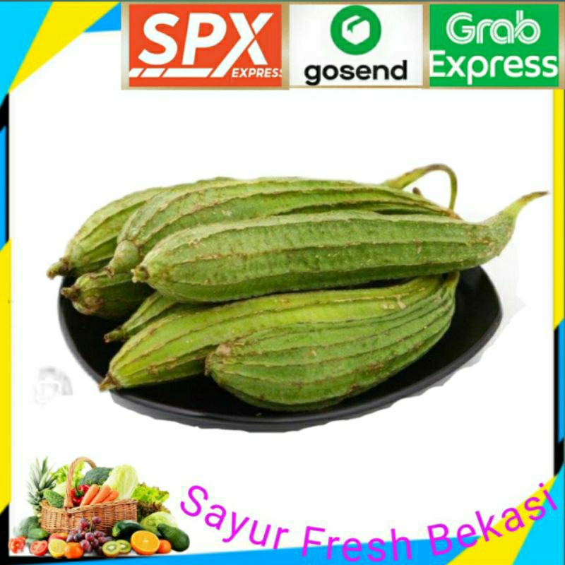 

Oyong/Gambas Hijau ( 1 Pcs).