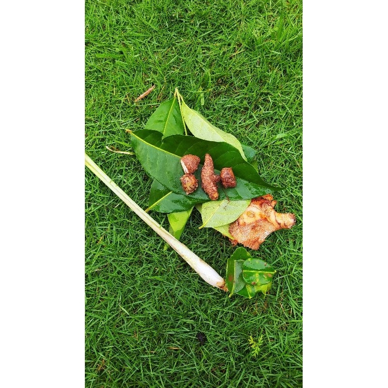

bumbu dapur murah bumbu Pawon serai kunir daun salam daun jeruk dll