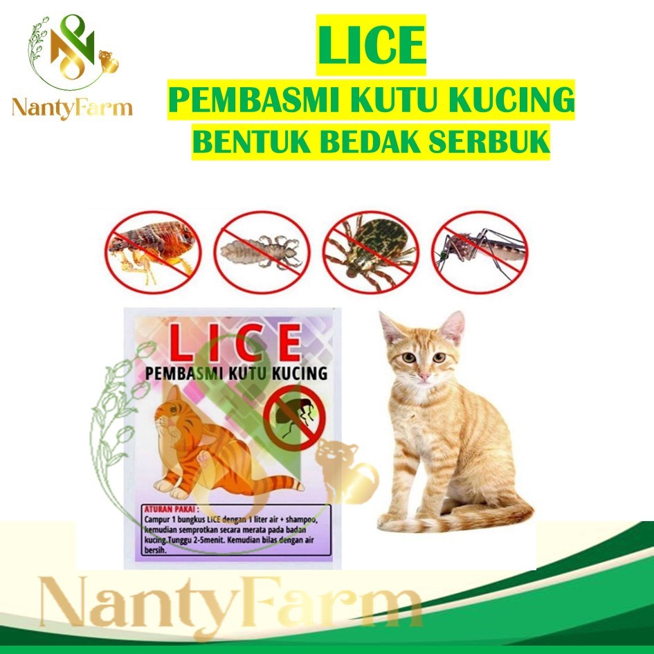 LICE Obat Anti Kutu Kucing Pembasmi Kutu Kitten