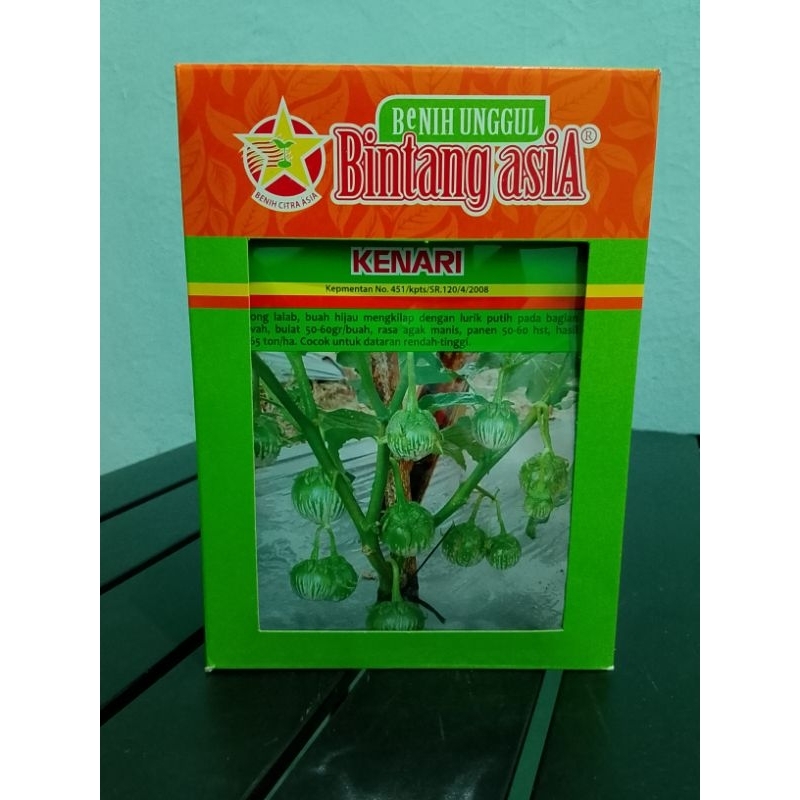 Terong Lalap Kenari Bintang Asia