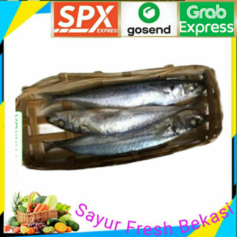 

Ikan Cue Keranjang (1 Keranjang).