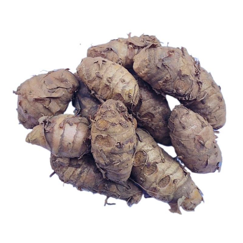 

KUNYIT EMPU SEGAR 500 GRAM