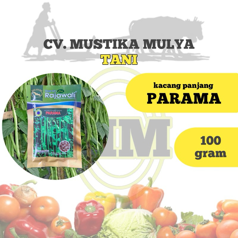 BENIH KACANG PANJANG ( PARAMA ) RAJAWALI
