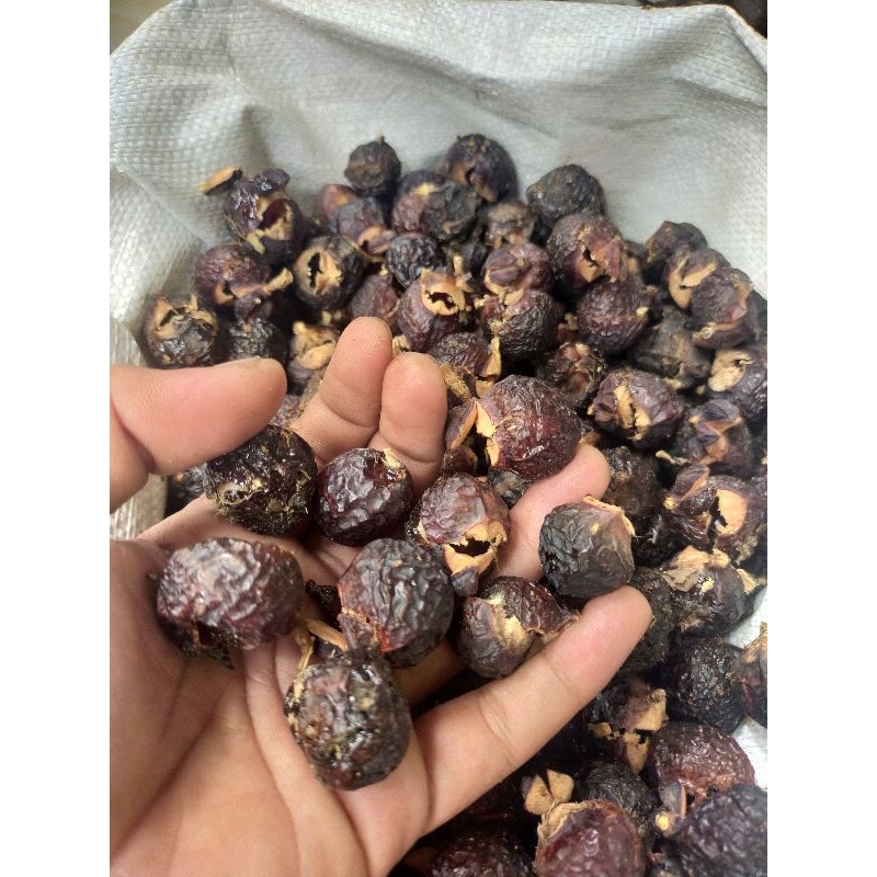 

GRATIS ONGKIR LERAK KLEREK KUPAS 1KG