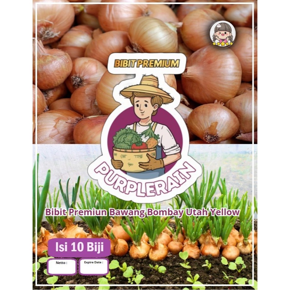 Bibit Premium Bawang Bombay Utah Yellow | Benih Bawang Bombay