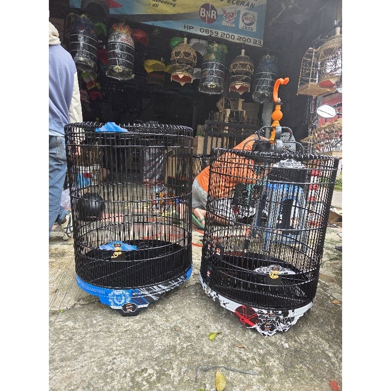 sangkar kandang burung murai rafi jaya