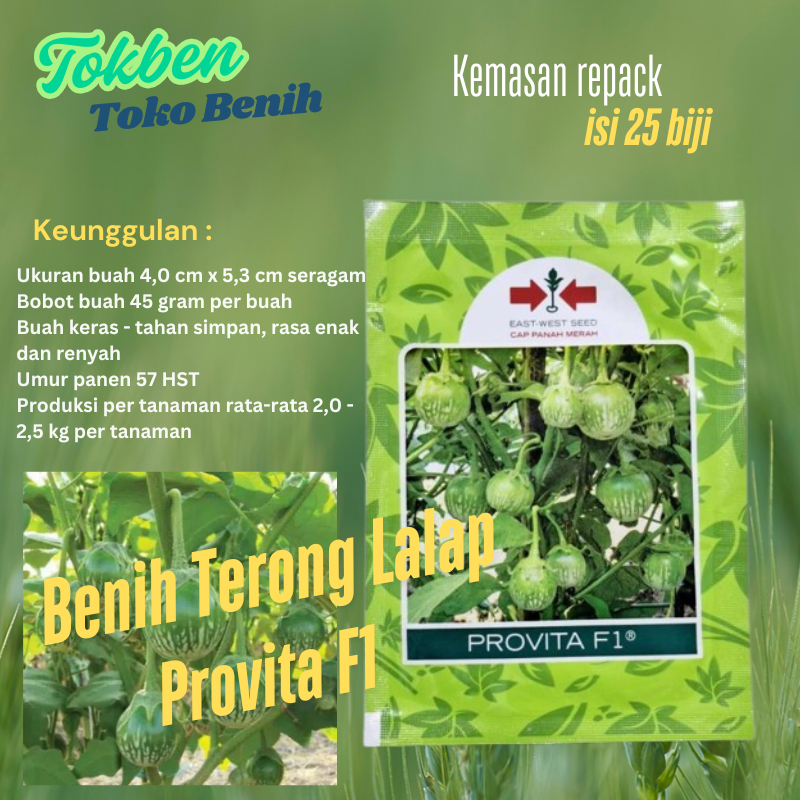 25 Biji - Benih Terong Hijau Lalap Provita F1