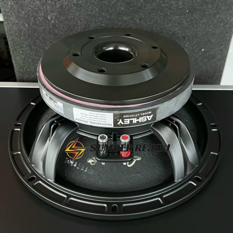 Speaker ASHLEY 10 inch LF10V300 Original