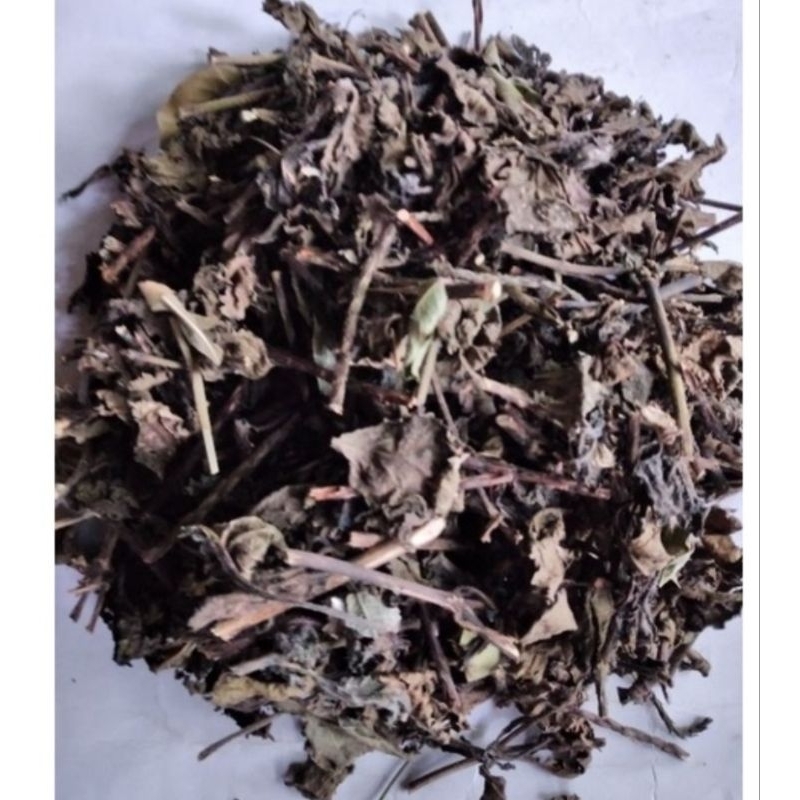 

Daun jarong kering daun pecut kuda organik 500 gram