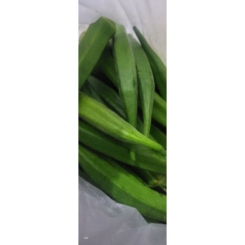 

sayur okra hijau segar fresh 1kg 500gr