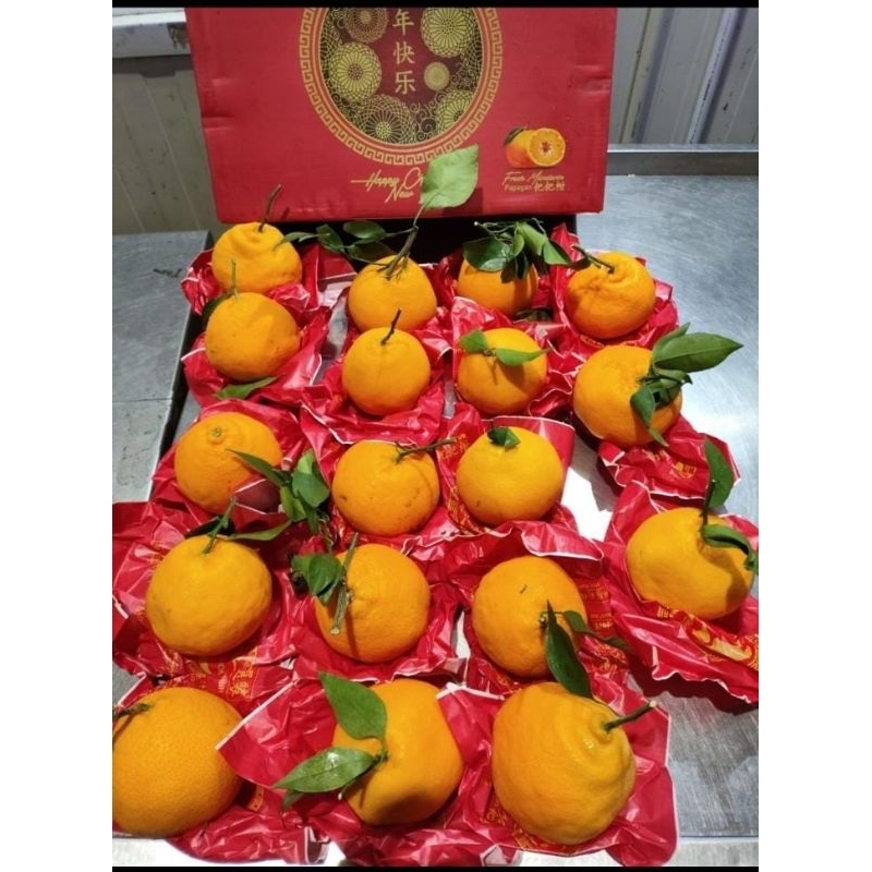

jeruk dekopon 1kg | jeruk papagan