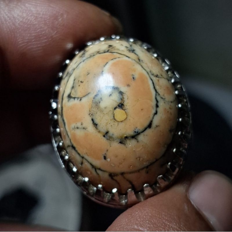 Batu akik mustika keong rajun