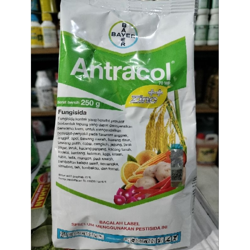 Fungisida Antracol 250 gr
