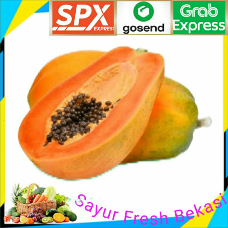 

Pepaya California 1 Buah.