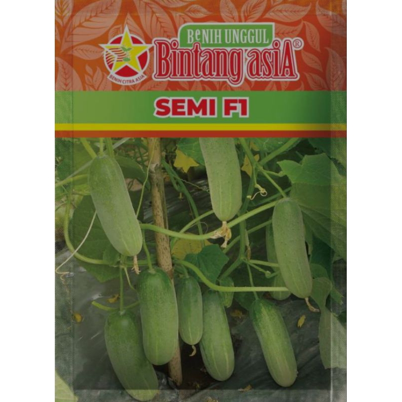 Benih Bibit Timun Semi F1 20 gram Bintang Asia