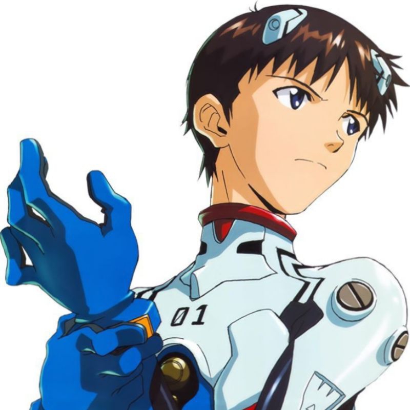 Shinji suit evangelion cosplay