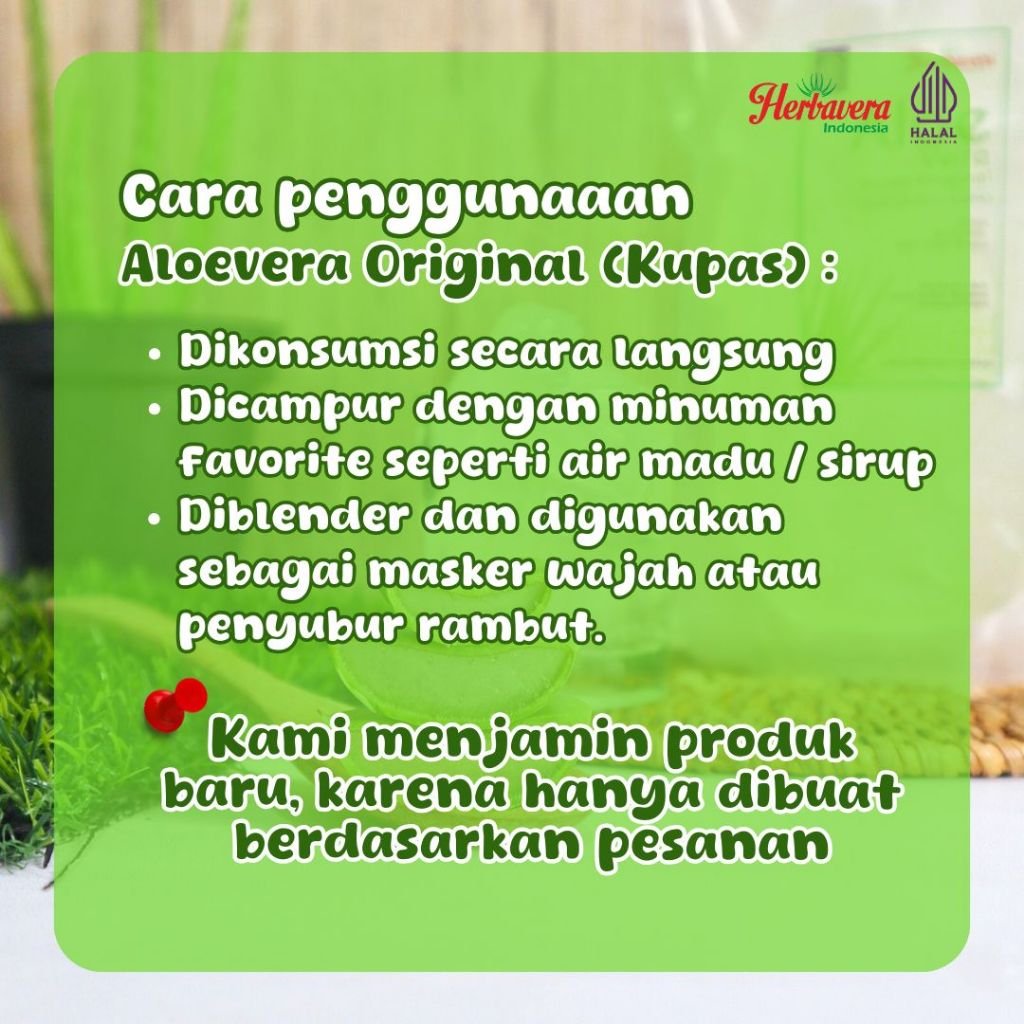 

RB22 Lidah Buaya / Aloe Vera Kupas 500 gram
