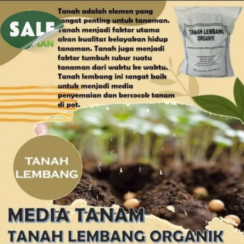 tanah Lembang