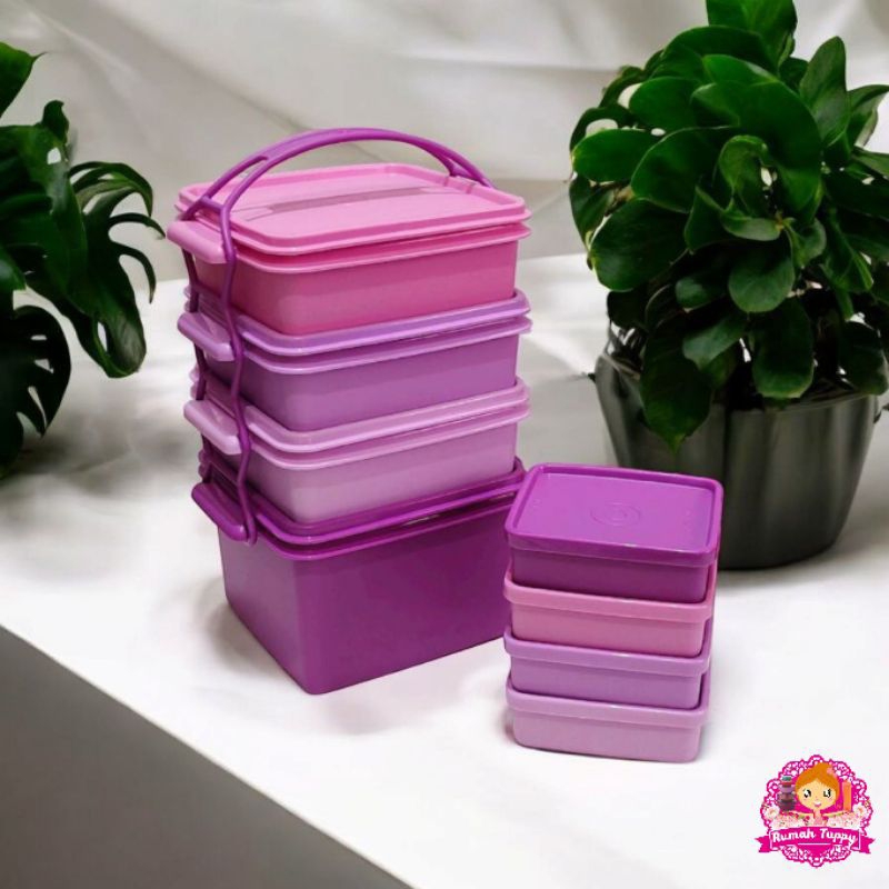 Wadah Tempat Makanan Rantang 4 Susun Double Sweet Tupperware Tuppy Murah