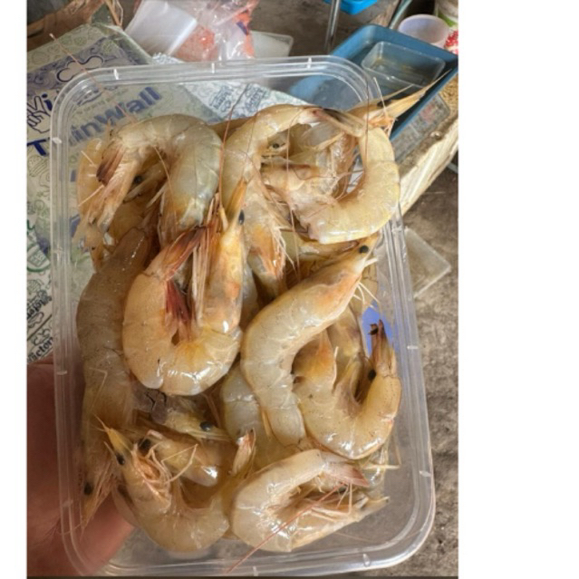 

UDANG BANANA sedang 500gr