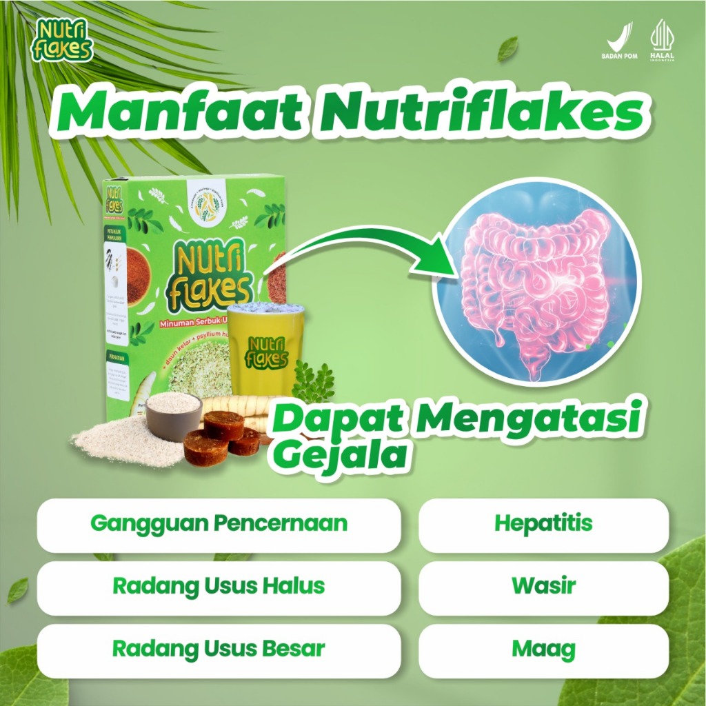 

QH Nutriflakes Original - Minuman Serbuk Umbi Garut Efektif Atasi Permasalahan Asam Lambung, Maag,