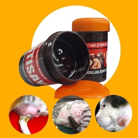 MASTISAVE - Obat Mastitis Kucing Obat Puting Bengkak Obat Abses Obat Bengkak Bernanah Obat Bisul Kuc