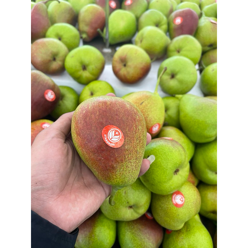 

Pear celina afrika fresh 1kg
