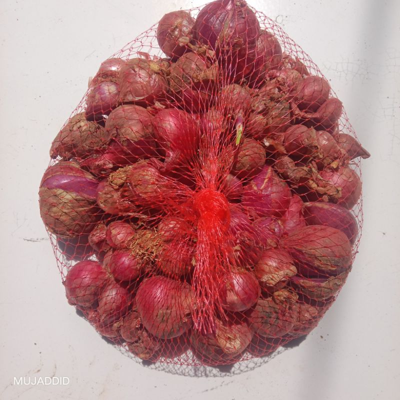 

BAWANG MERAH FRESH Langsung Dari Petani