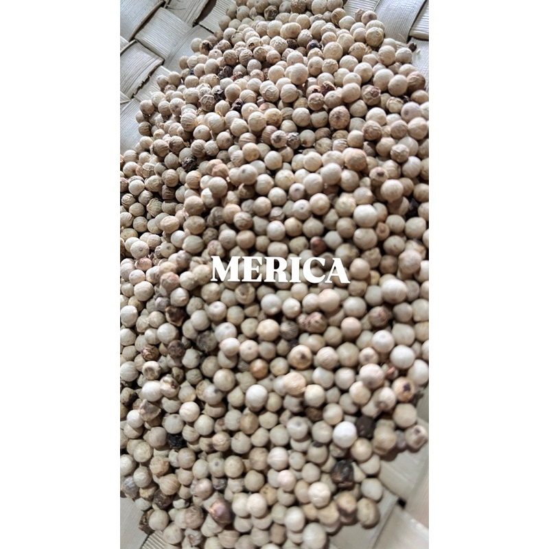 

MERICA berat 100gr -Banyuwangi