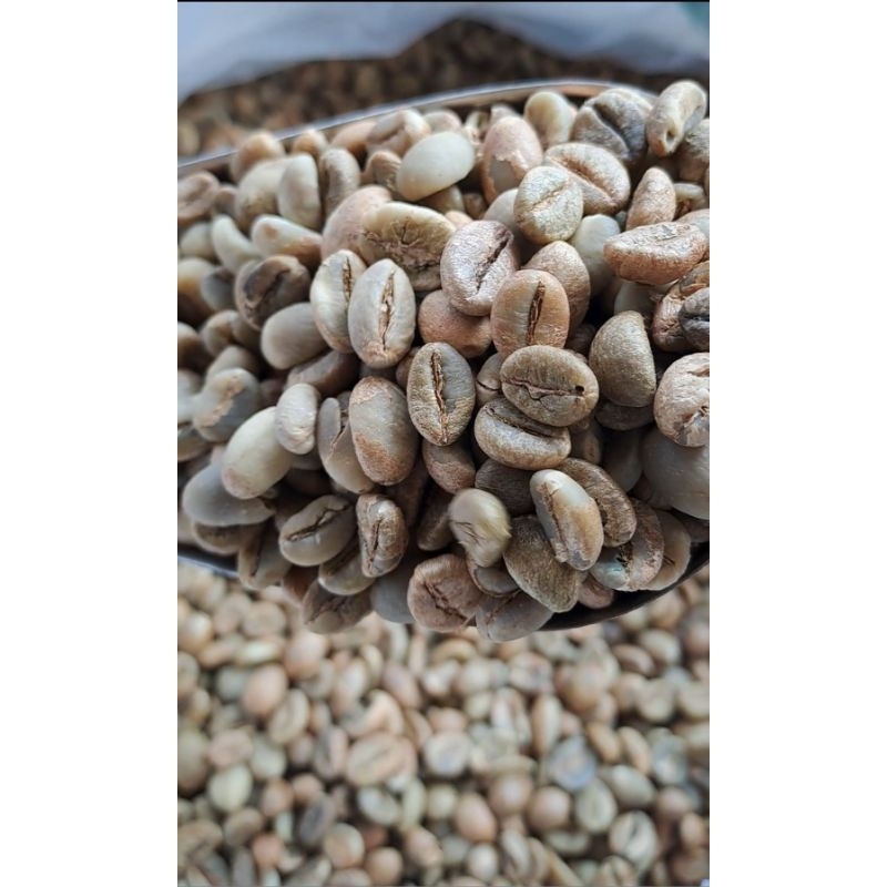 

Robusta Bengkulu G1 1Kg