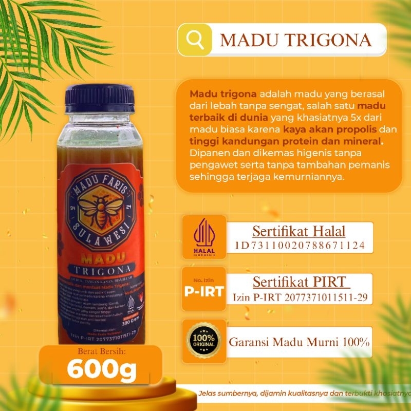

MADU TRIGONA | MADU TRIGONA FARIS SULAWESI | MADU TRIGONA MURNI 600G