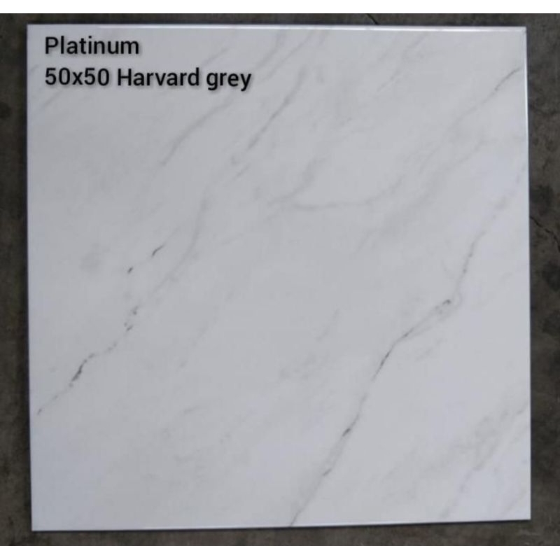 Keramik lantai glossy Platinum Harvard Grey 50x50 cm