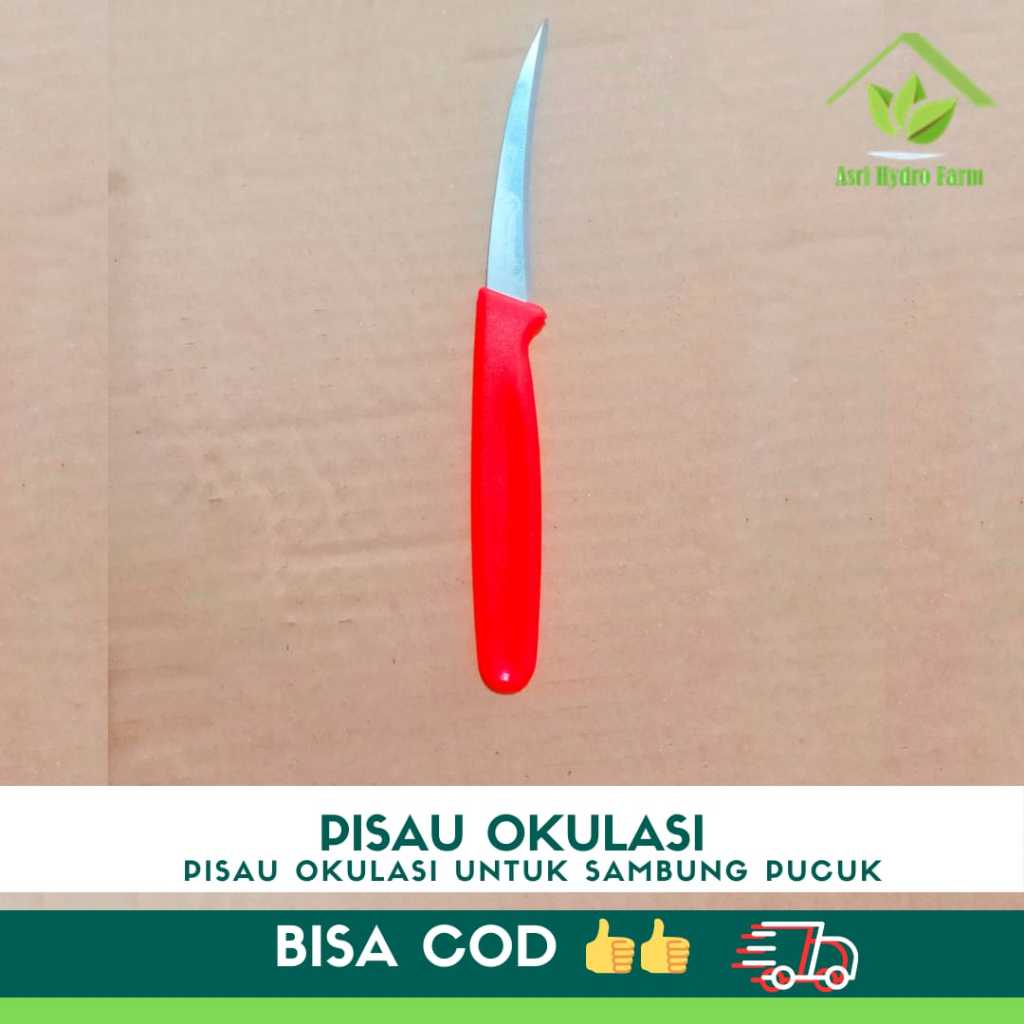Pisau Okulasi Grafting Cangkok Alat Berkebun Tanaman PISAU OKULASI LOKAL