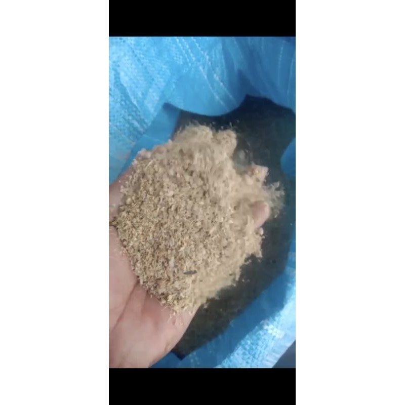 Pakan Ternak Sapi, Kambing dan Babi