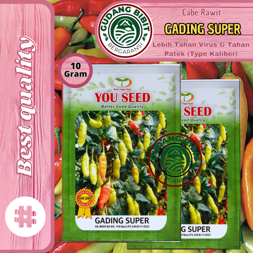 Cabe Rawit Setan tipe Kaliber GADING SUPER 10gram dari You Seed Super Pedas