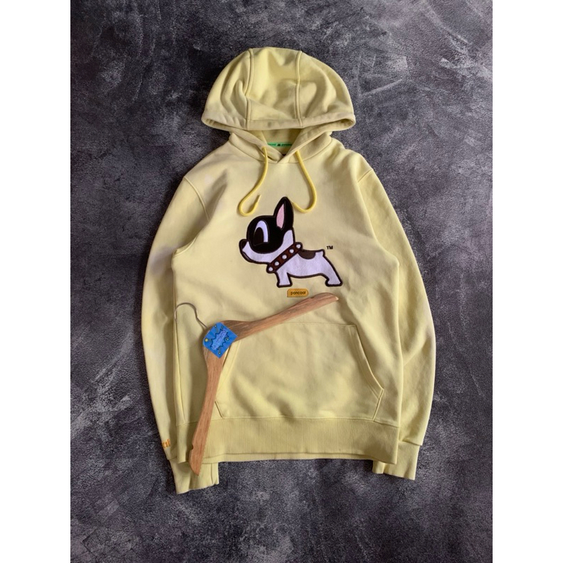 Hoodie pancoat dog