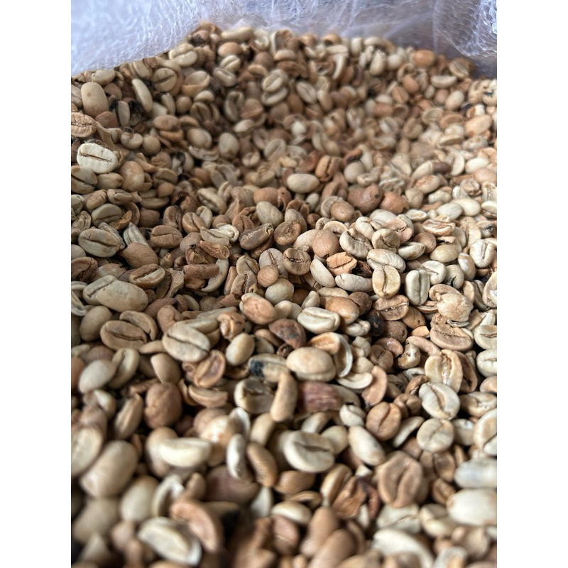 

Arabika (tanpa sortir) 1kg