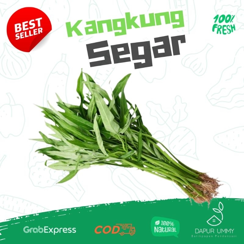

SAYUR FRESH • Kangkung Segar • Sayur Kangkung
