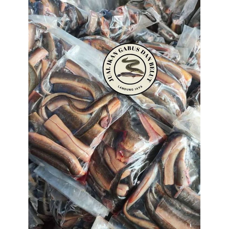 

IKAN BELUT / WELUT { Siap Dimasak, Belut Marinasi }