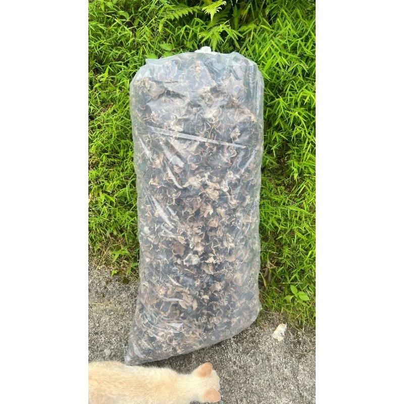 

Jamur kuping kering Hitam 250 gr