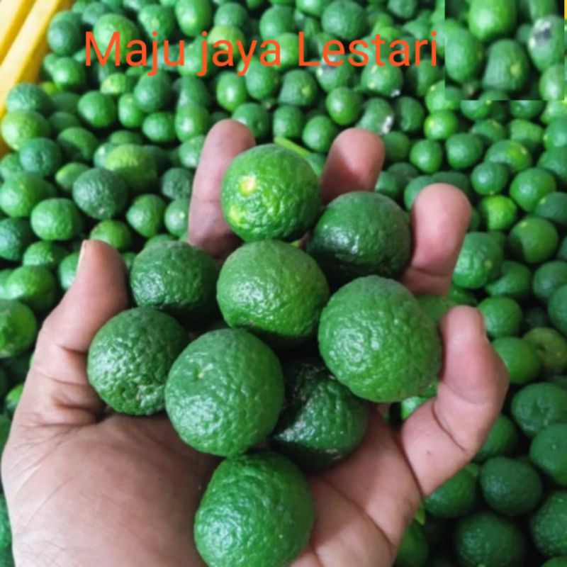 

Jeruk limau .limo 1kg ukuran Kecil