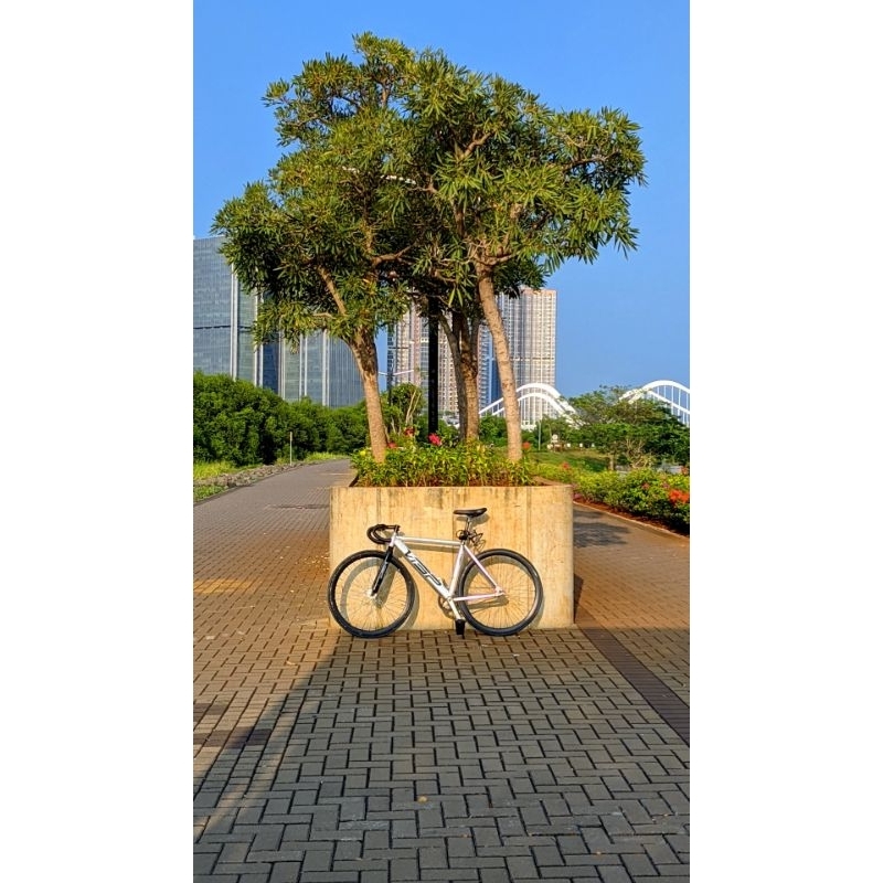 fixie gear soloist 79