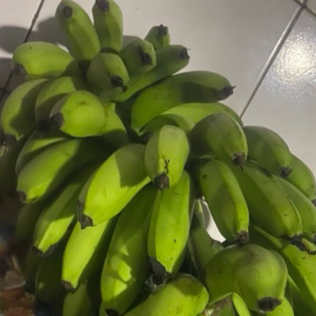 

Buah Pisang Matah JE R Arm Buah Pisang