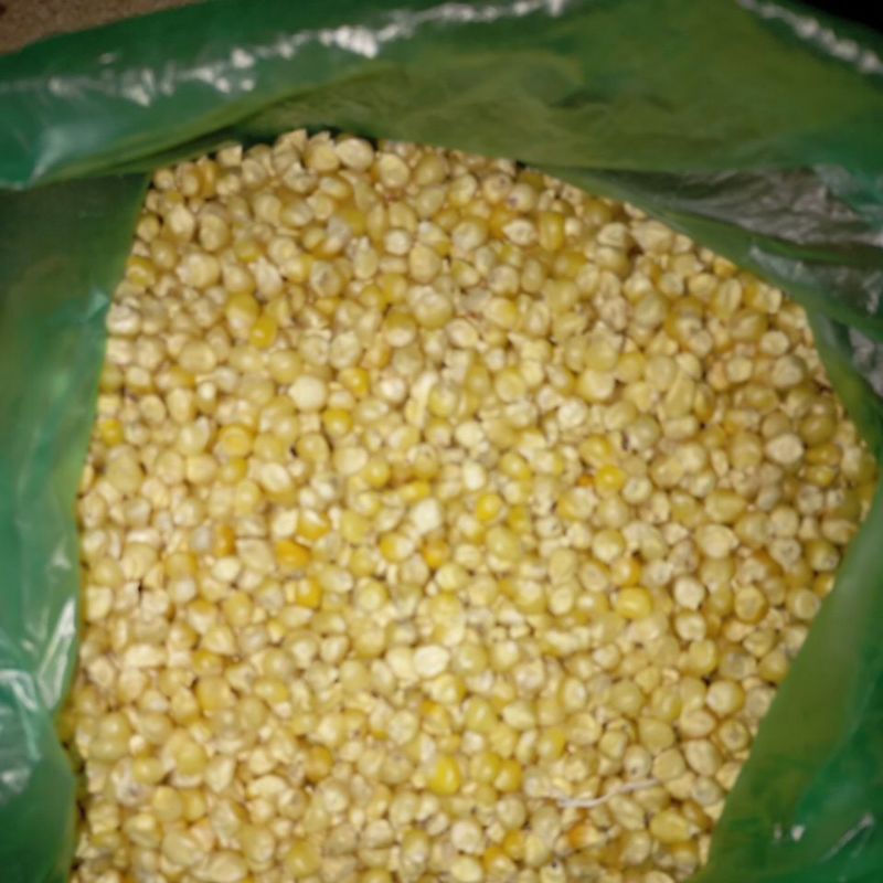 

jagung popcorn mentah