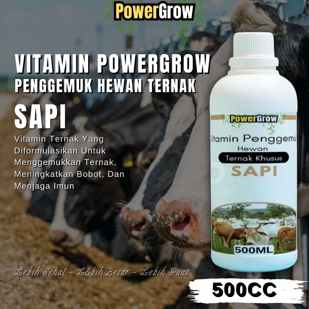 Vitamin Sapi Pemacu Penggemukan Ternak Vitamin Sapi Peningkat Nafsu Makan Ternak Cepat Besar Sehat