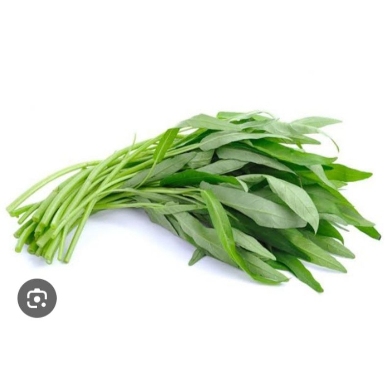 

sayur kangkung 1ikat