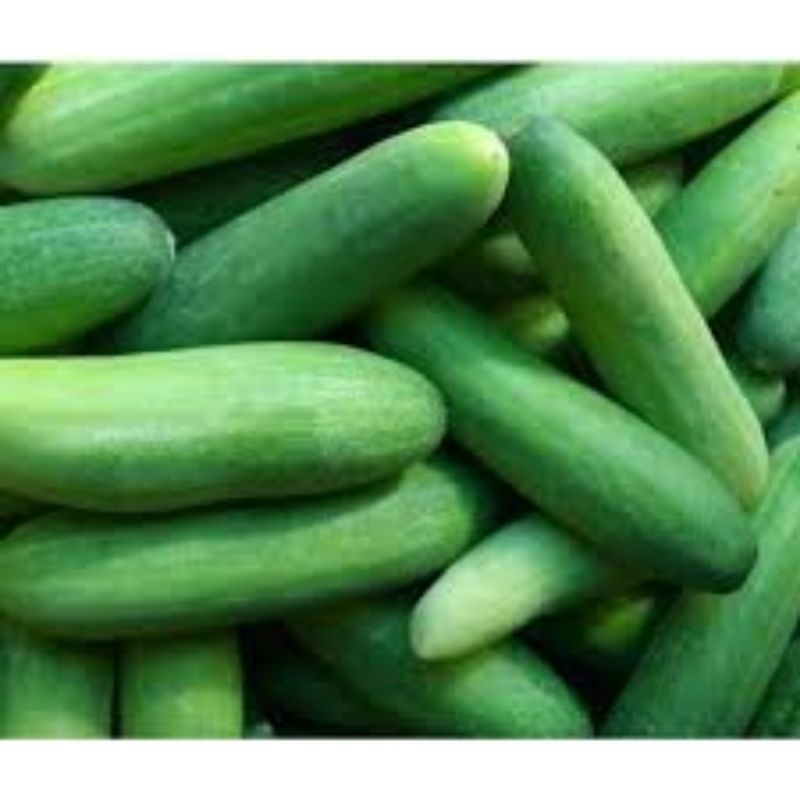 

mentimun segar 500gram / 1kg