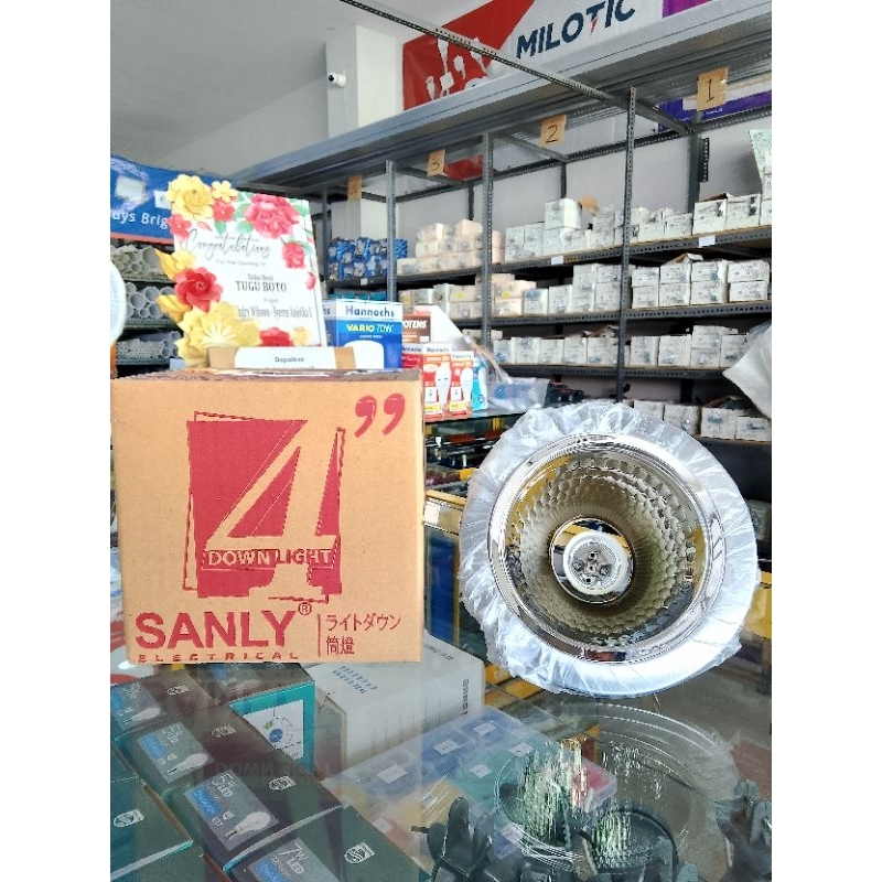 Fitting downlight Sanly