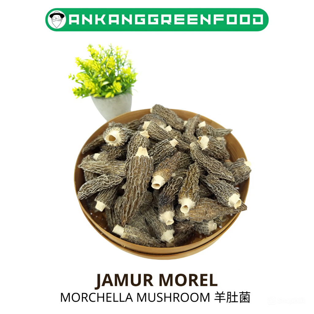 

JAMUR MOREL / MORCHELLA MUSHROOM / YANG DU JIN 羊肚菌