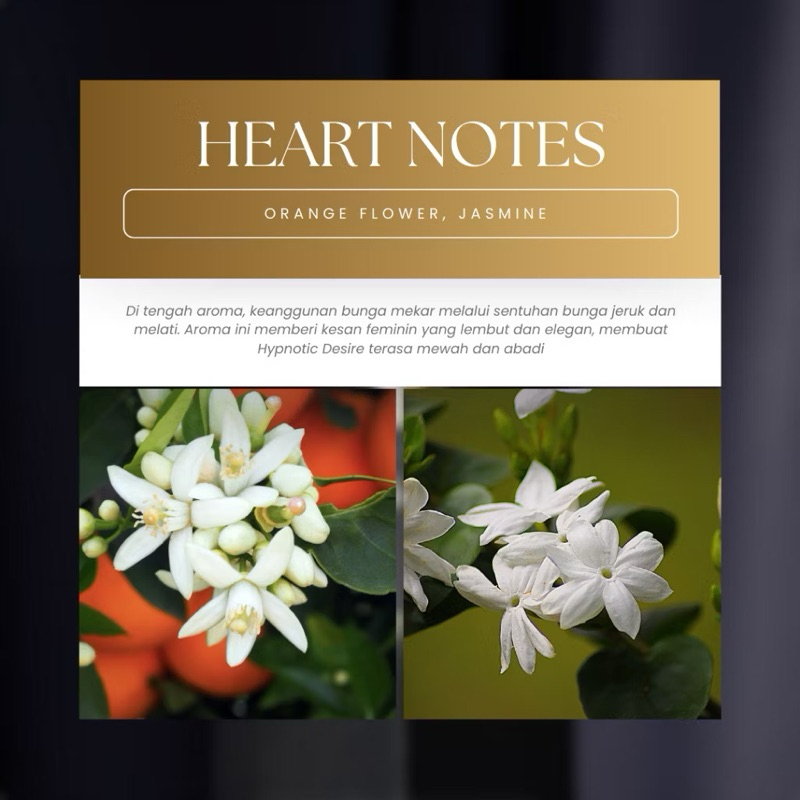 

Paket Hampers Lebaran